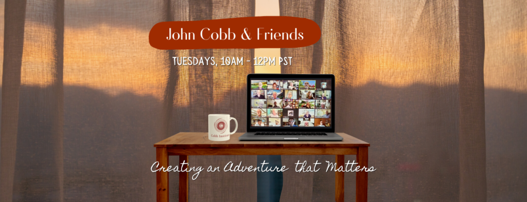 Cobb & Friends - featured image - 1300x500