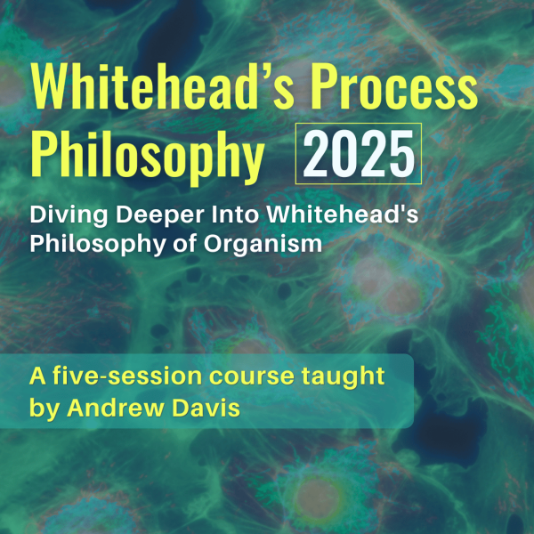 Whitehead's Process Philosophy 2025